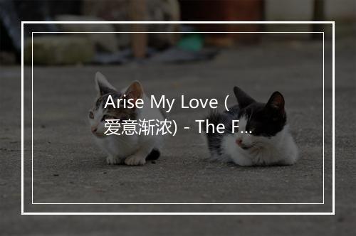 Arise My Love (爱意渐浓) - The Faith Crew-歌词