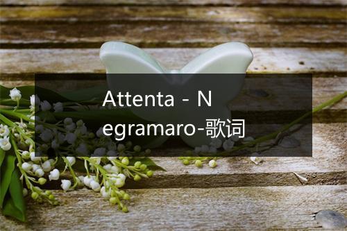 Attenta - Negramaro-歌词