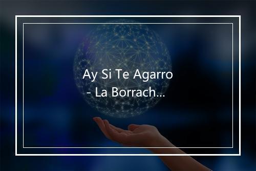 Ay Si Te Agarro - La Borrachita-歌词