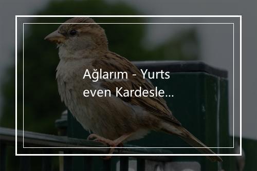 Ağlarım - Yurtseven Kardesler-歌词