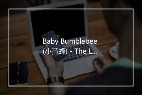 Baby Bumblebee (小黄蜂) - The Little Kidz Band-歌词