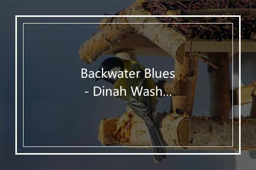 Backwater Blues - Dinah Washington-歌词_4