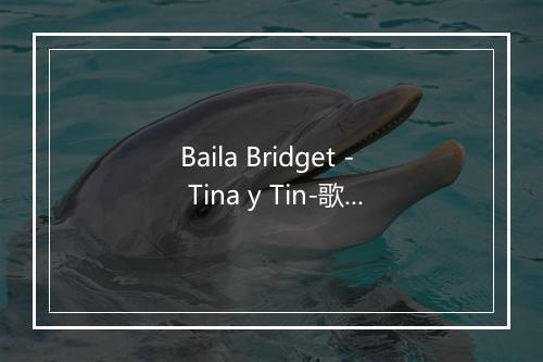 Baila Bridget - Tina y Tin-歌词_9