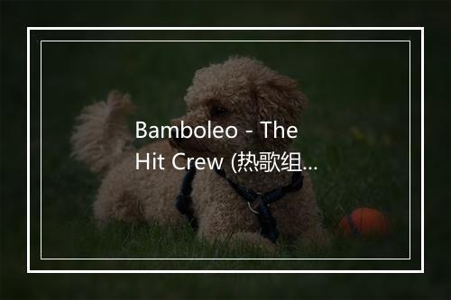 Bamboleo - The Hit Crew (热歌组合)-歌词