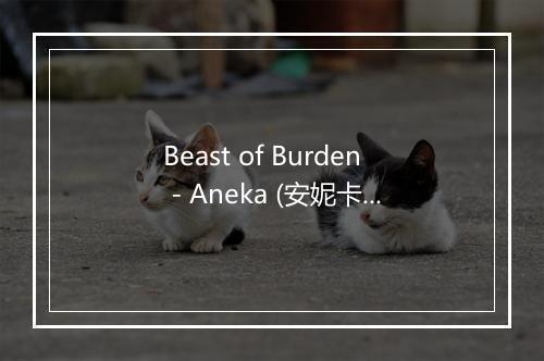 Beast of Burden - Aneka (安妮卡)-歌词