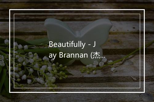 Beautifully - Jay Brannan (杰·布拉南)-歌词