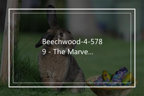 Beechwood-4-5789 - The Marvelettes-歌词