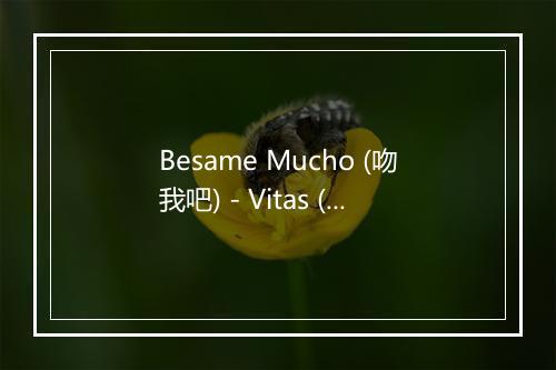 Besame Mucho (吻我吧) - Vitas (维塔斯)-歌词