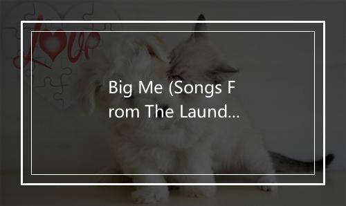 Big Me (Songs From The Laundry Room) - Foo Fighters (喷火战机乐队)-歌词