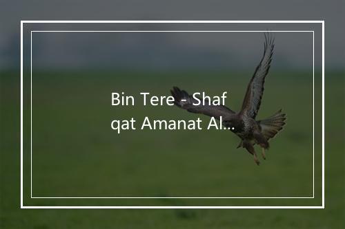 Bin Tere - Shafqat Amanat Ali-歌词