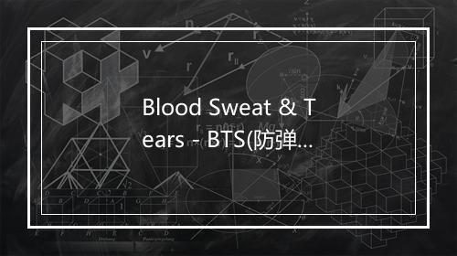 Blood Sweat & Tears - BTS(防弹少年团)-歌词