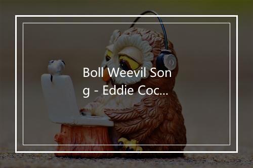 Boll Weevil Song - Eddie Cochran-歌词_1