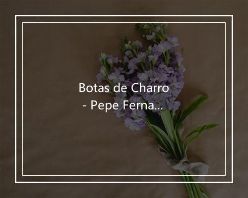 Botas de Charro - Pepe Fernandez-歌词