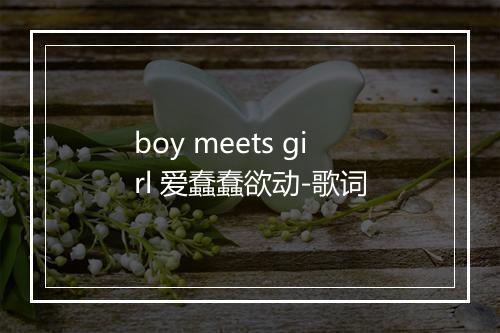 boy meets girl 爱蠢蠢欲动-歌词