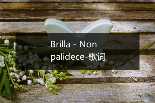 Brilla - Nonpalidece-歌词