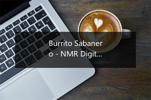 Burrito Sabanero - NMR Digital-歌词