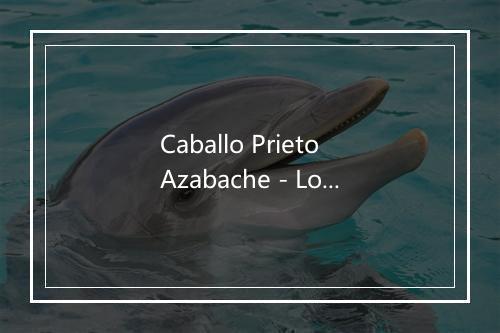 Caballo Prieto Azabache - Los Mariachis De Mexico-歌词