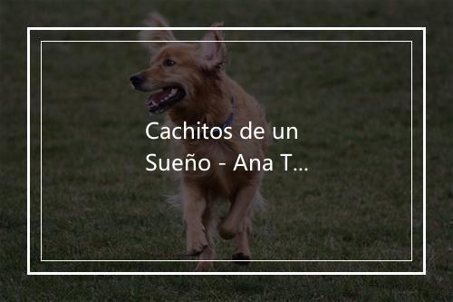 Cachitos de un Sueño - Ana Torroja-歌词