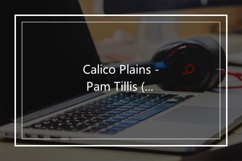 Calico Plains - Pam Tillis (帕姆·泰丽斯)-歌词