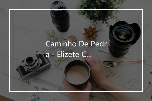 Caminho De Pedra - Elizete Cardoso-歌词