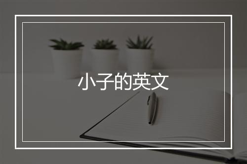 小子的英文