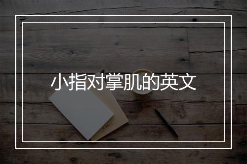 小指对掌肌的英文