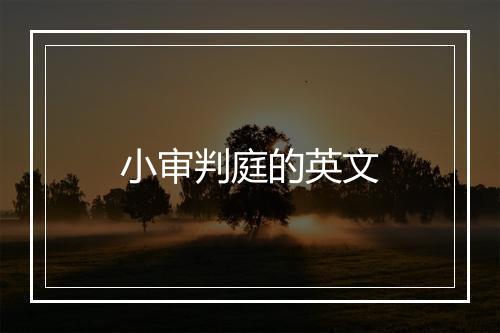 小审判庭的英文