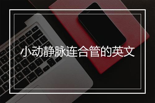 小动静脉连合管的英文