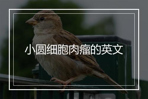 小圆细胞肉瘤的英文