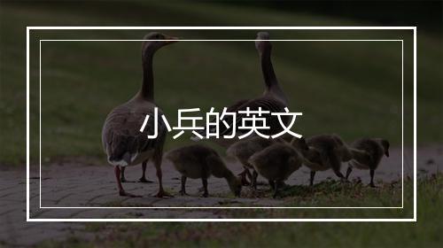 小兵的英文