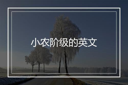 小农阶级的英文