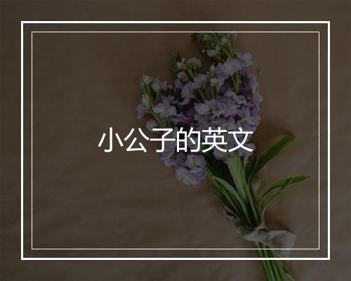 小公子的英文