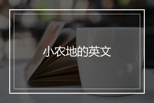 小农地的英文