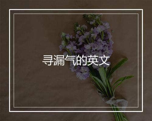 寻漏气的英文