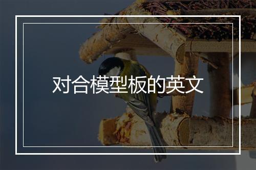 对合模型板的英文