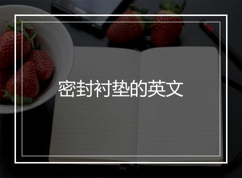 密封衬垫的英文