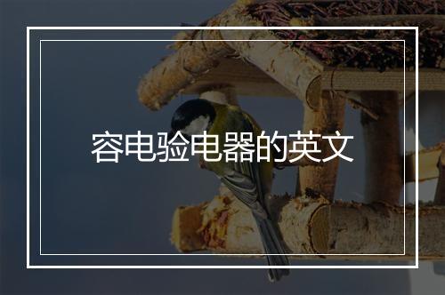 容电验电器的英文