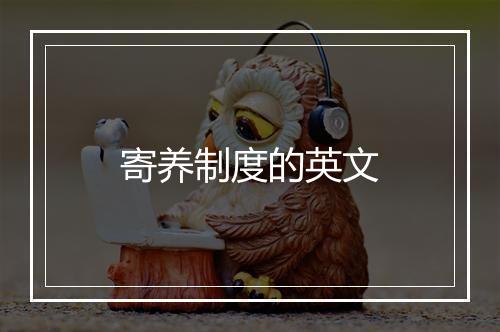 寄养制度的英文