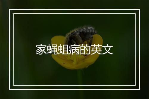 家蝇蛆病的英文