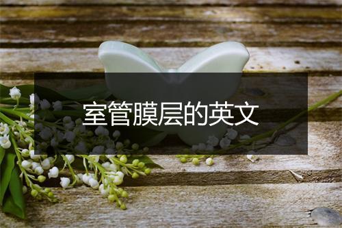 室管膜层的英文