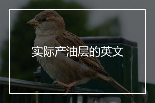 实际产油层的英文