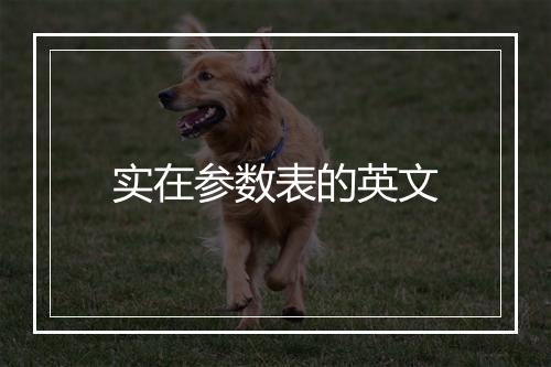 实在参数表的英文