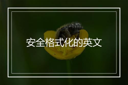 安全格式化的英文