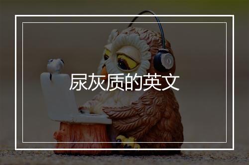 尿灰质的英文