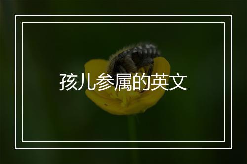 孩儿参属的英文