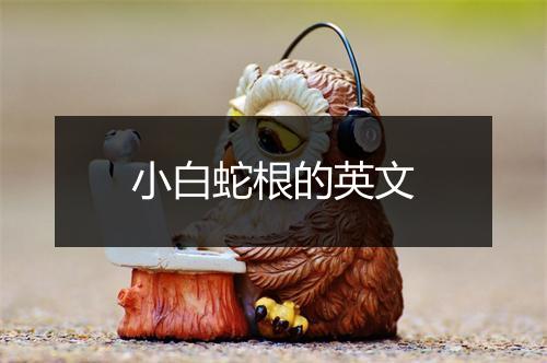 小白蛇根的英文