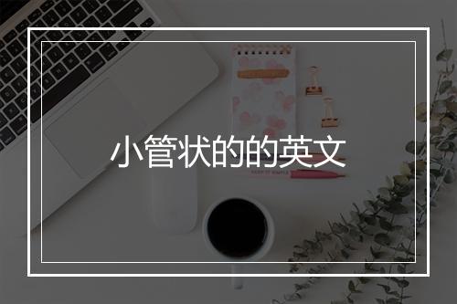 小管状的的英文