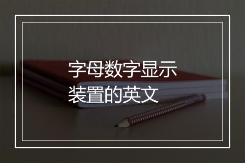 字母数字显示装置的英文