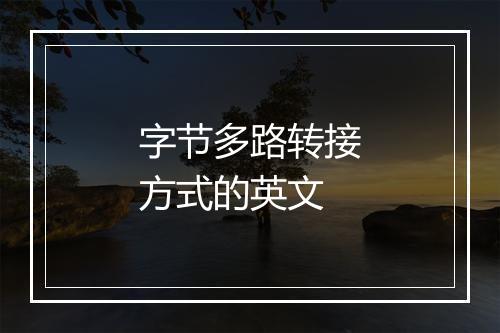 字节多路转接方式的英文