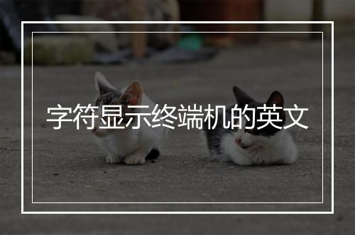 字符显示终端机的英文